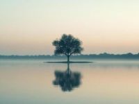 The Sound of&nbsp;Silence