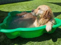 Beat the Heat