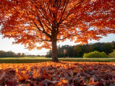 Fall State of&nbsp;Mind